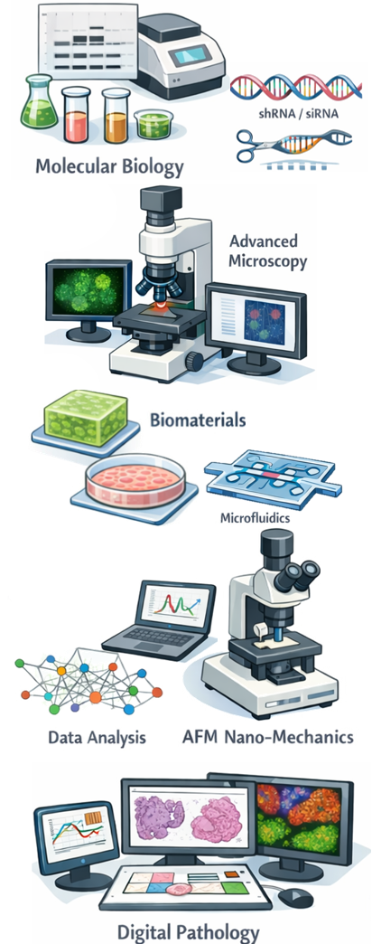 Experimental approaches overview