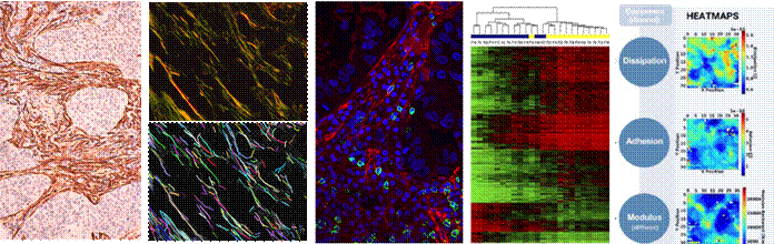 Overview figure of research themes